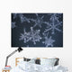Frost Crystal On Glass Kodiak Isl Southwest Ak Winter Detail Wall Mural