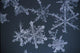Frost Crystal On Glass Kodiak Isl Southwest Ak Winter Detail Wall Mural