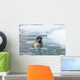 Harbor Seal Swims Wall Mural