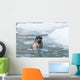 Harbor Seal Swims Wall Mural
