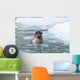 Harbor Seal Swims Wall Mural