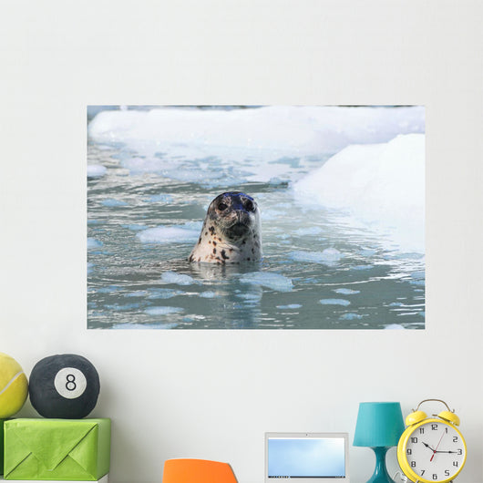 Harbor Seal Swims Wall Mural