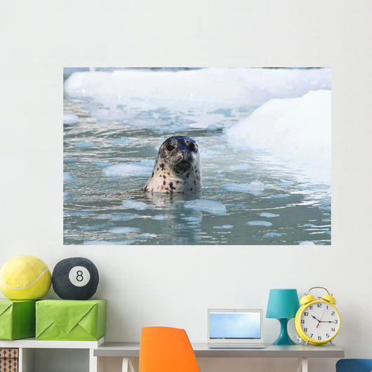 Harbor Seal Swims Wall Mural