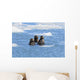 Sea Otters Swim In An Ice Floe At Yale Glacier In Prince William Sound Wall Mural
