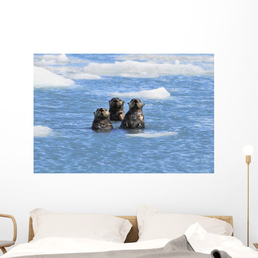 Sea Otters Swim In An Ice Floe At Yale Glacier In Prince William Sound Wall Mural