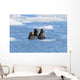 Sea Otters Swim In An Ice Floe At Yale Glacier In Prince William Sound Wall Mural