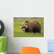 An Alaska Coastal Brown Bear At Mikfik Creek Wall Mural