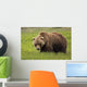 An Alaska Coastal Brown Bear At Mikfik Creek Wall Mural