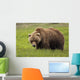 An Alaska Coastal Brown Bear At Mikfik Creek Wall Mural