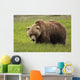 An Alaska Coastal Brown Bear At Mikfik Creek Wall Mural