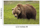 An Alaska Coastal Brown Bear At Mikfik Creek Wall Mural