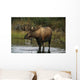 Bull Moose In Pond Near Eielson Visitor Center Ak In Denali Np Summer Wall Mural