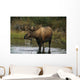 Bull Moose In Pond Near Eielson Visitor Center Ak In Denali Np Summer Wall Mural