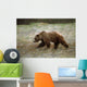Grizzly Runs Through Meadow Blurred Southeast Alaska Autumn Wall Mural