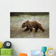 Grizzly Runs Through Meadow Blurred Southeast Alaska Autumn Wall Mural