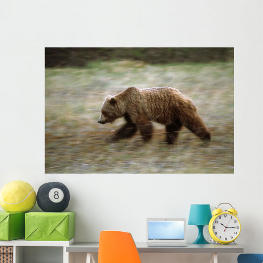 Grizzly Runs Through Meadow Blurred Southeast Alaska Autumn Wall Mural