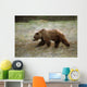 Grizzly Runs Through Meadow Blurred Southeast Alaska Autumn Wall Mural