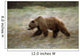 Grizzly Runs Through Meadow Blurred Southeast Alaska Autumn Wall Mural