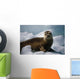 Harbor Seal Pup Wall Mural