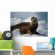 Harbor Seal Pup Wall Mural