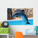 dolphins Wall Mural
