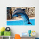 dolphins Wall Mural