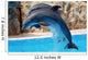 dolphins Wall Mural