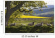 Sheep Laying On The Grass Under A Tree Wall Mural