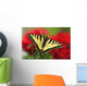 Close Up Of A Canadian Tiger Swallowtail Butterfly Wall Mural