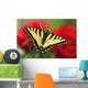 Close Up Of A Canadian Tiger Swallowtail Butterfly Wall Mural