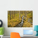 Small Creek Flows Through Autumn Leaf Covered Forest Floor Wall Mural