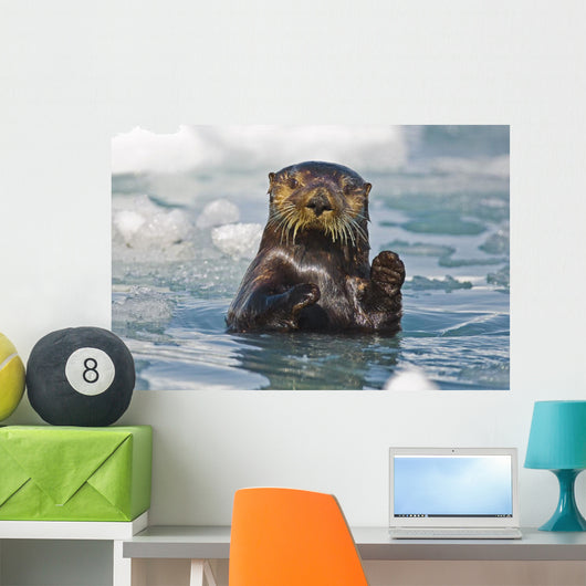 A Sea Otter Swimming Amongst Sea Ice In Harriman Fjord Wall Mural