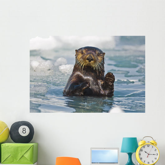 A Sea Otter Swimming Amongst Sea Ice In Harriman Fjord Wall Mural