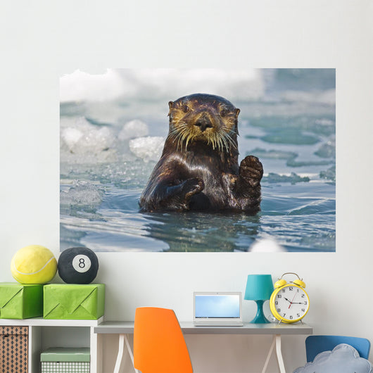 A Sea Otter Swimming Amongst Sea Ice In Harriman Fjord Wall Mural
