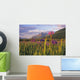Wild Iris Blooming Wall Mural