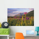 Wild Iris Blooming Wall Mural
