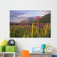 Wild Iris Blooming Wall Mural