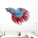 Betta fish. Siamese figthing fish Wall Decal