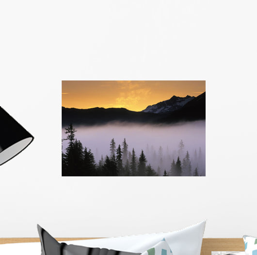 Morning Fog @ Sunrise Along Snow River Kp Alaska Summer Chugach Nf Wall Mural