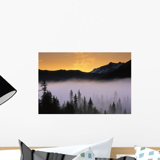 Morning Fog @ Sunrise Along Snow River Kp Alaska Summer Chugach Nf Wall Mural