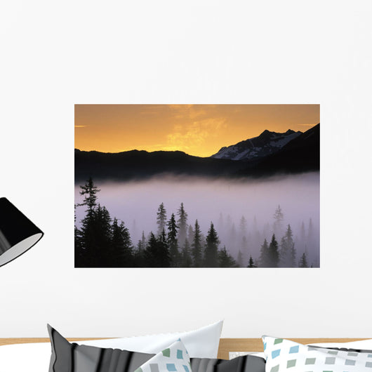 Morning Fog @ Sunrise Along Snow River Kp Alaska Summer Chugach Nf Wall Mural