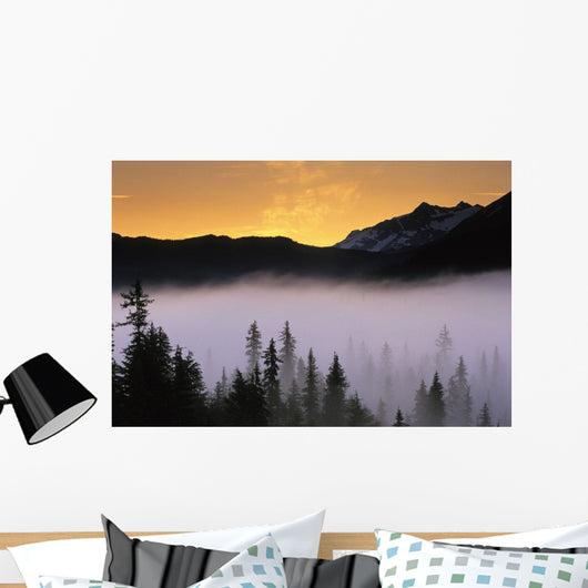 Morning Fog @ Sunrise Along Snow River Kp Alaska Summer Chugach Nf Wall Mural