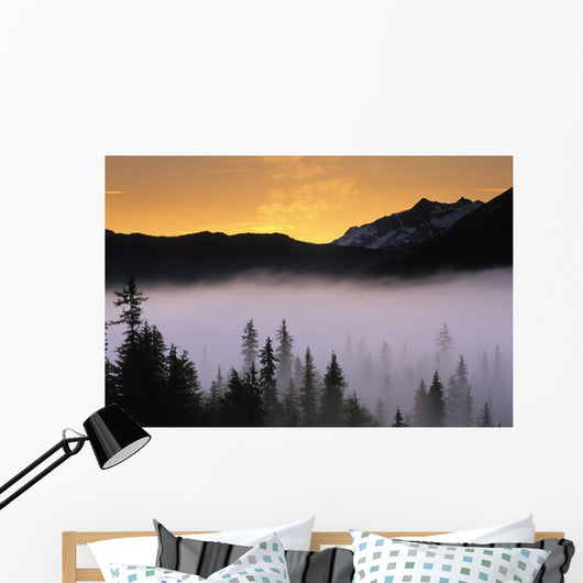 Morning Fog @ Sunrise Along Snow River Kp Alaska Summer Chugach Nf Wall Mural