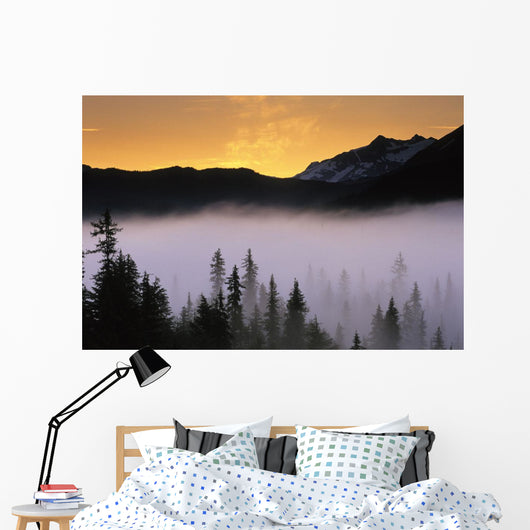 Morning Fog @ Sunrise Along Snow River Kp Alaska Summer Chugach Nf Wall Mural