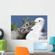 Close Up Of A Mew Gull With Two Hungry Chicks Wall Mural