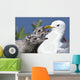 Close Up Of A Mew Gull With Two Hungry Chicks Wall Mural