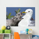 Close Up Of A Mew Gull With Two Hungry Chicks Wall Mural