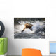 Brown Bear Dives Into Brooks River For Salmon Wall Mural