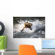 Brown Bear Dives Into Brooks River For Salmon Wall Mural