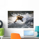Brown Bear Dives Into Brooks River For Salmon Wall Mural